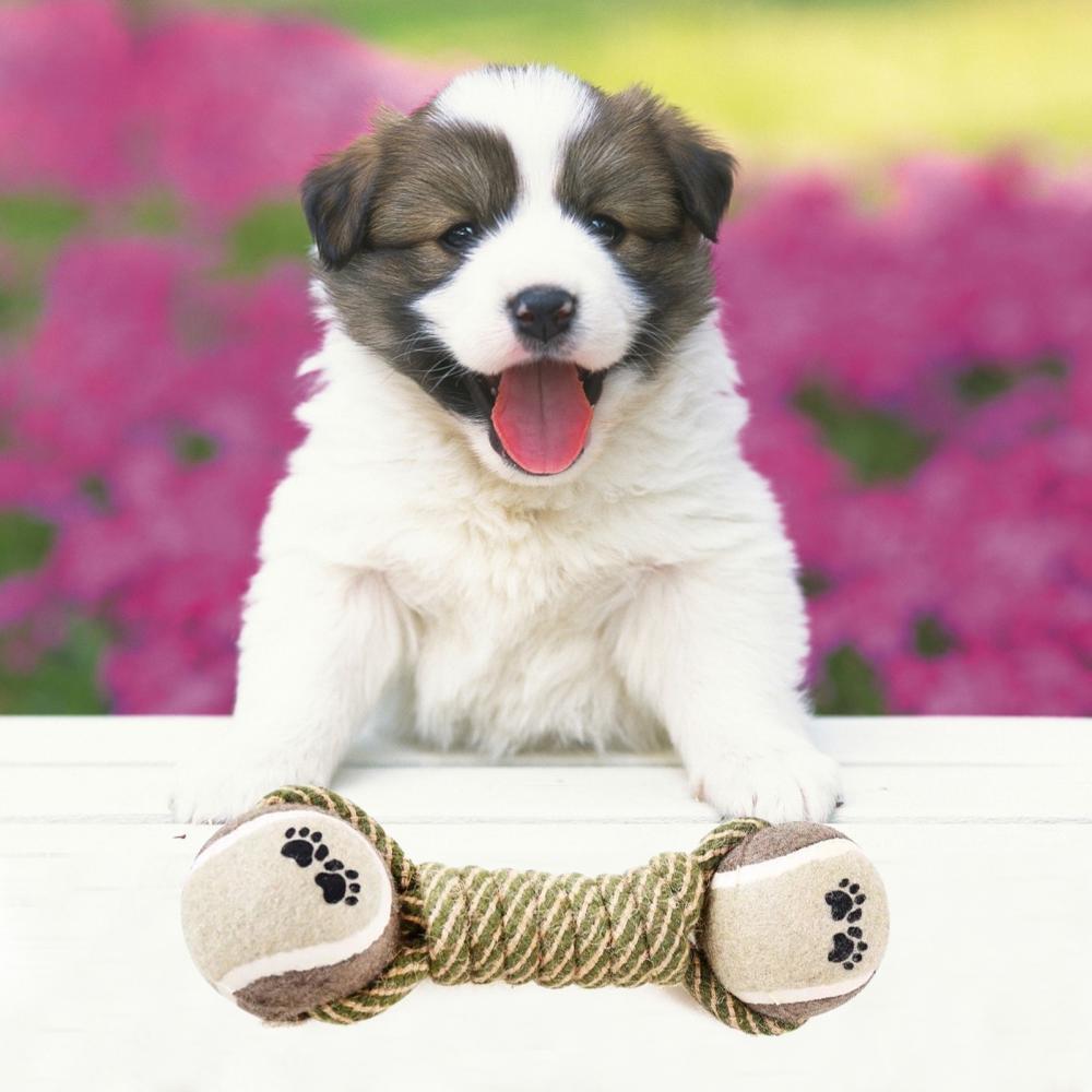 Pet Dog Toys For Large Small Dogs Toy