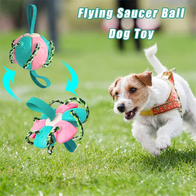 Interactive Dog Football Soccer Ball With Tabs Inflated Training Toy