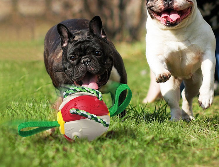 Interactive Dog Football Soccer Ball With Tabs Inflated Training Toy